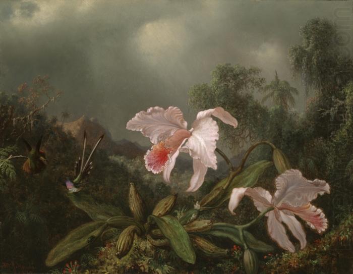 Jungle Orchids and Hummingbirds, Martin Johnson Heade
